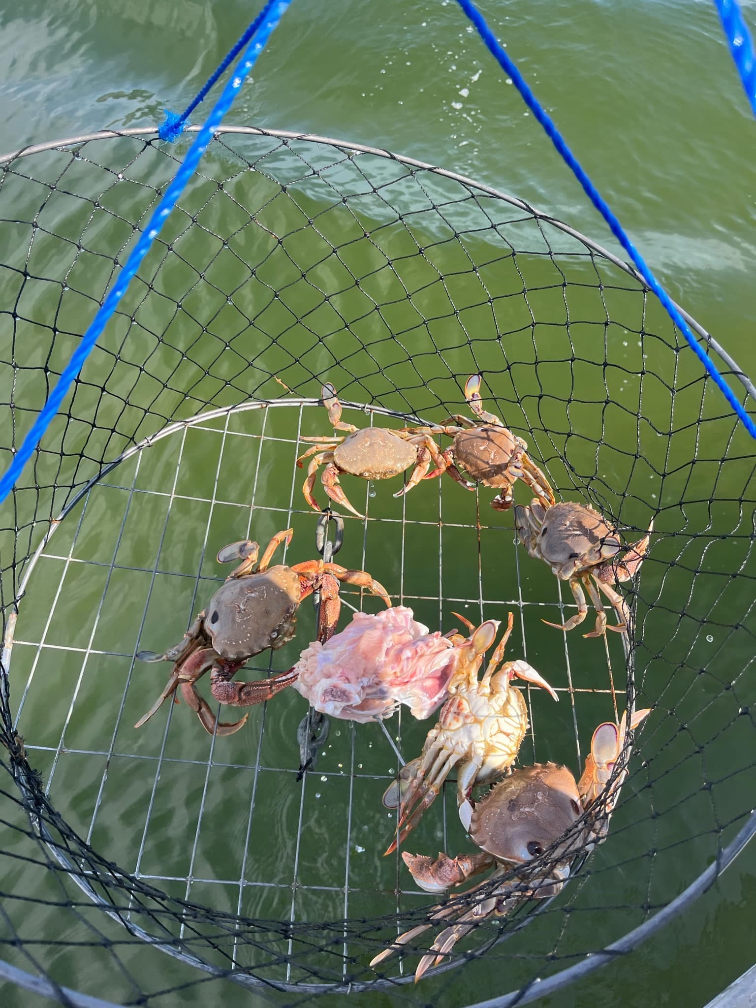 Fishing & Crabbing Combo